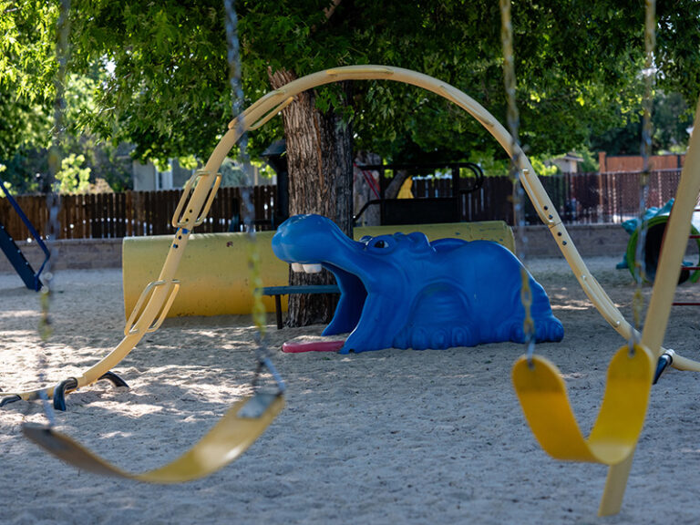 bighirn-playground-blue-hippo