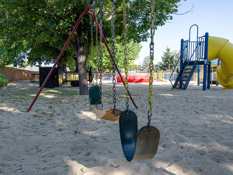 bighorns-playground-swingskulti