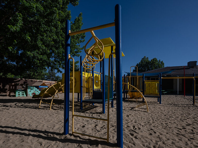 mustangs-playground-monkey-bars