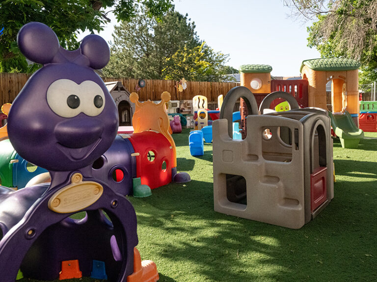 toddler-playground-purple-cater